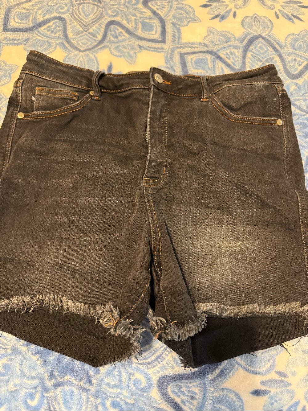 Judy blue Black Denim Frayed Hem Women’s Shorts size XL